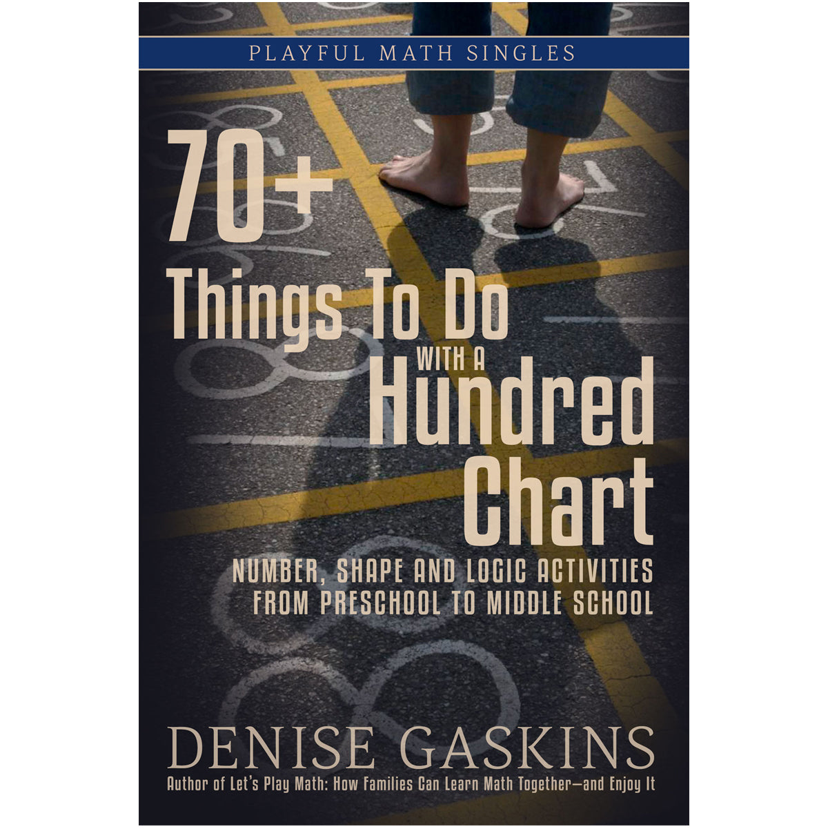 Hundred Chart math activities paperback by Denise Gaskins