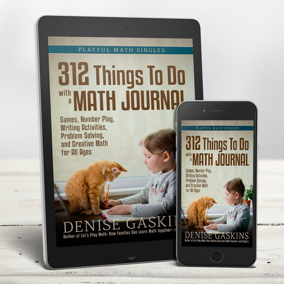 312 Things To Do with a Math Journal (EBOOK) – Denise Gaskins' Playful Math